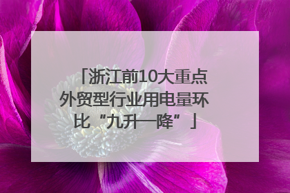 浙江前10大重点外贸型行业用电量环比“九升一降”