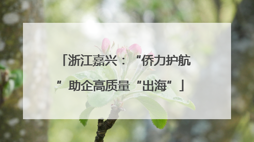浙江嘉兴：“侨力护航”助企高质量“出海”