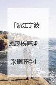 浙江宁波慈溪杨梅迎采摘旺季