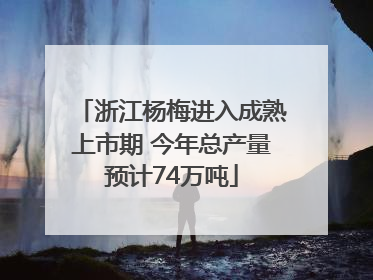 浙江杨梅进入成熟上市期 今年总产量预计74万吨