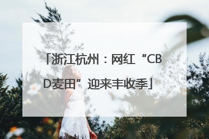 浙江杭州：网红“CBD麦田”迎来丰收季