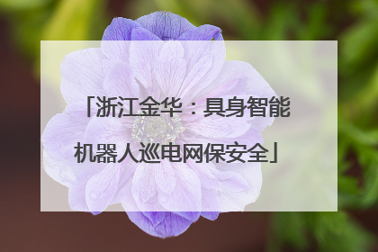 浙江金华：具身智能机器人巡电网保安全