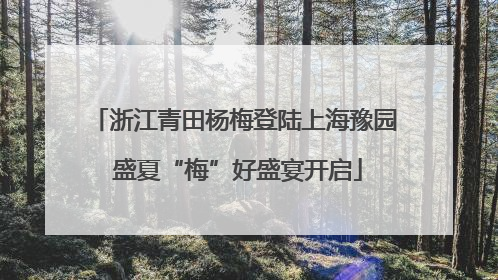 浙江青田杨梅登陆上海豫园 盛夏“梅”好盛宴开启