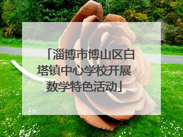 淄博市博山区白塔镇中心学校开展数学特色活动