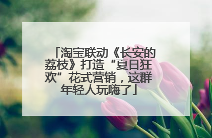 淘宝联动《长安的荔枝》打造“夏日狂欢”花式营销，这群年轻人玩嗨了