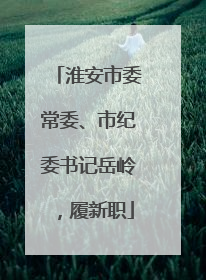 淮安市委常委、市纪委书记岳岭，履新职