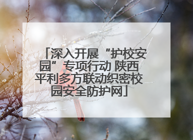 深入开展“护校安园”专项行动 陕西平利多方联动织密校园安全防护网