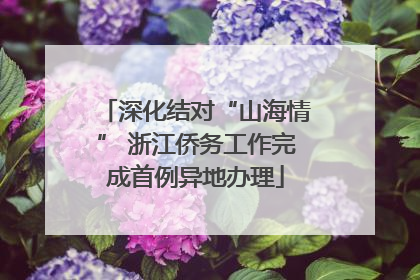 深化结对“山海情” 浙江侨务工作完成首例异地办理