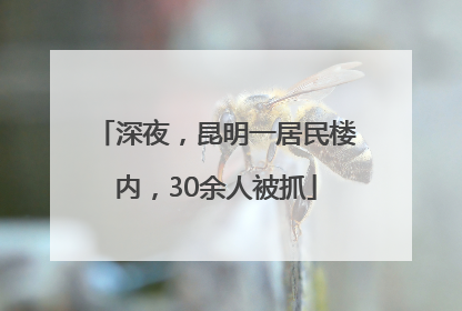 深夜，昆明一居民楼内，30余人被抓