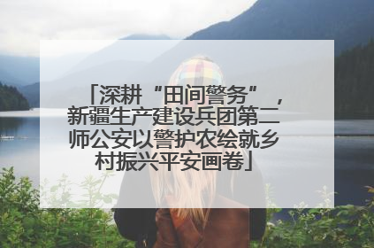 深耕“田间警务”，新疆生产建设兵团第二师公安以警护农绘就乡村振兴平安画卷