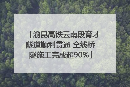 渝昆高铁云南段育才隧道顺利贯通 全线桥隧施工完成超90%