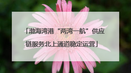 渤海湾港“两湾一航”供应链服务北上通道稳定运营
