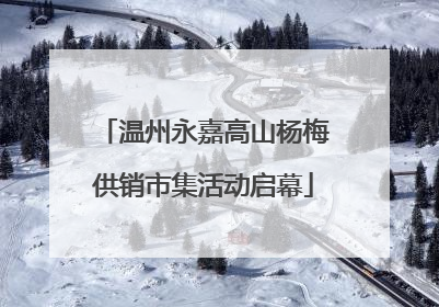 温州永嘉高山杨梅供销市集活动启幕