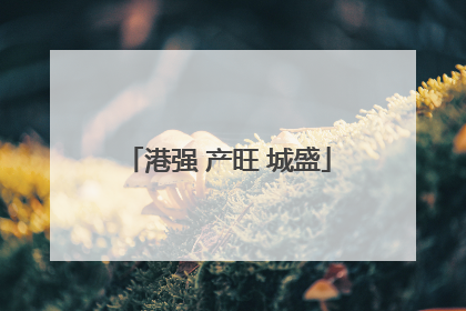 港强 产旺 城盛