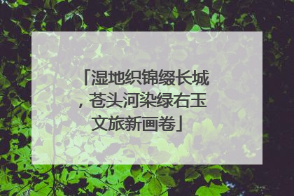 湿地织锦缀长城，苍头河染绿右玉文旅新画卷