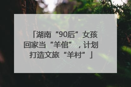 湖南“90后”女孩回家当“羊倌”，计划打造文旅“羊村”