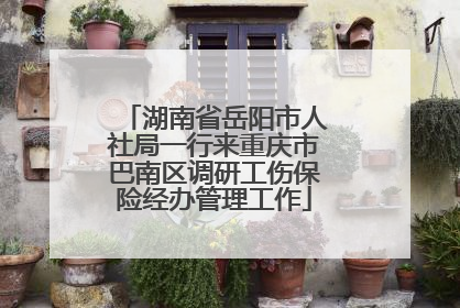 湖南省岳阳市人社局一行来重庆市巴南区调研工伤保险经办管理工作