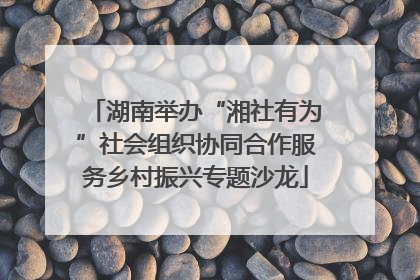 湖南举办“湘社有为”社会组织协同合作服务乡村振兴专题沙龙