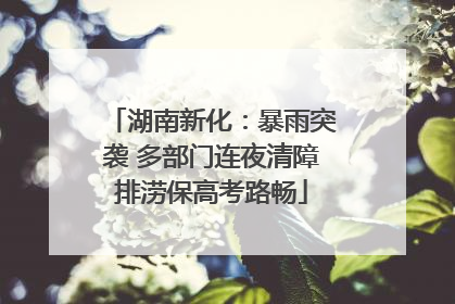 湖南新化：暴雨突袭 多部门连夜清障排涝保高考路畅