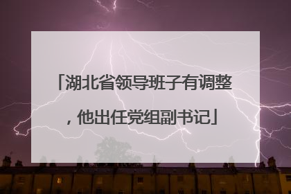 湖北省领导班子有调整，他出任党组副书记