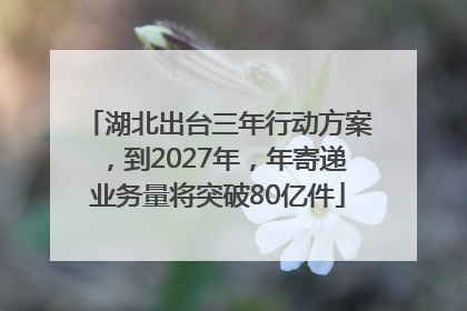湖北出台三年行动方案，到2027年，年寄递业务量将突破80亿件