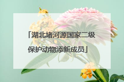 湖北堵河源国家二级保护动物添新成员