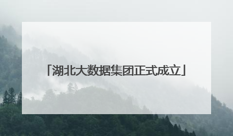 湖北大数据集团正式成立