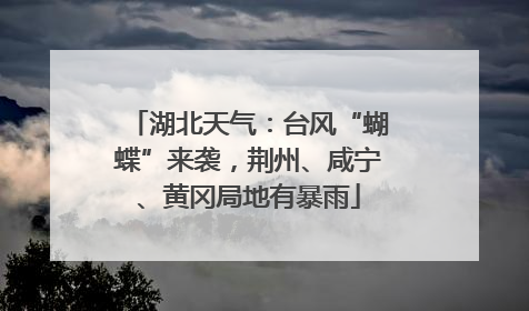 湖北天气：台风“蝴蝶”来袭，荆州、咸宁、黄冈局地有暴雨