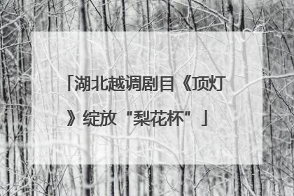 湖北越调剧目《顶灯》绽放“梨花杯”