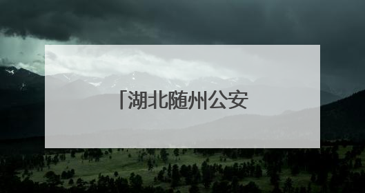 湖北随州公安交管部门“摆摊儿”话安全