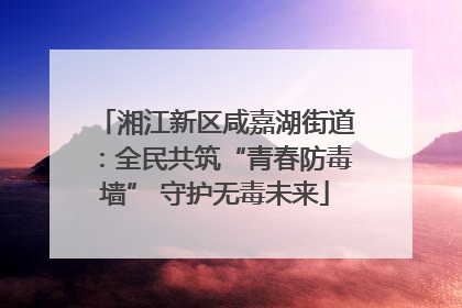 湘江新区咸嘉湖街道：全民共筑“青春防毒墙” 守护无毒未来