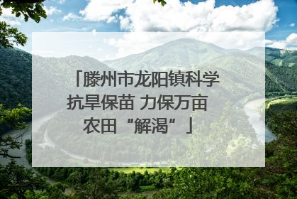 滕州市龙阳镇科学抗旱保苗 力保万亩农田“解渴”