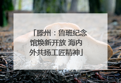 滕州：鲁班纪念馆焕新开放 海内外共扬工匠精神