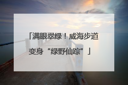 满眼翠绿！威海步道变身“绿野仙踪”