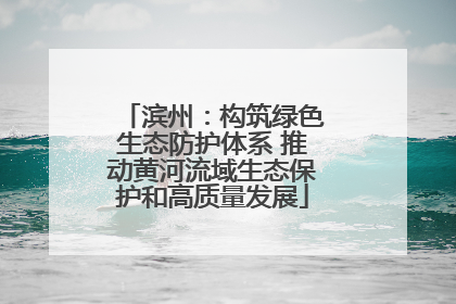 滨州：构筑绿色生态防护体系 推动黄河流域生态保护和高质量发展