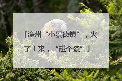漳州“小景德镇”，火了！来，“碰个瓷”