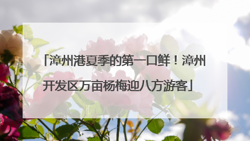 漳州港夏季的第一口鲜！漳州开发区万亩杨梅迎八方游客