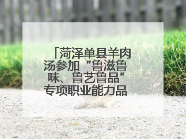 菏泽单县羊肉汤参加“鲁滋鲁味、鲁艺鲁品”专项职业能力品牌展示活动