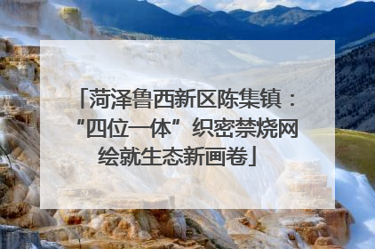 菏泽鲁西新区陈集镇：“四位一体”织密禁烧网 绘就生态新画卷