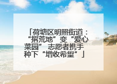 荷塘区明照街道：“撂荒地”变“爱心菜园” 志愿者携手种下“增收希望”