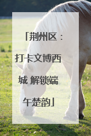 荆州区：打卡文博西城 解锁端午楚韵