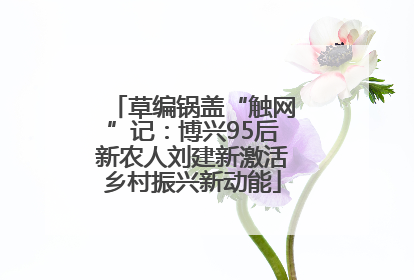 草编锅盖“触网”记：博兴95后新农人刘建新激活乡村振兴新动能