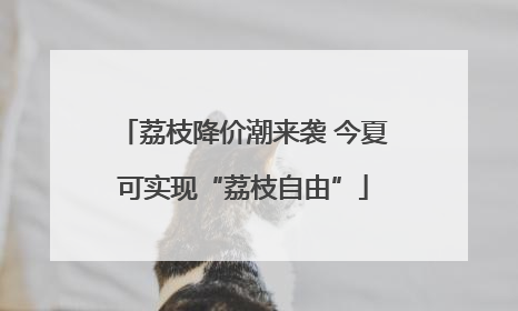 荔枝降价潮来袭 今夏可实现“荔枝自由”