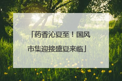 药香沁夏至！国风市集迎接盛夏来临