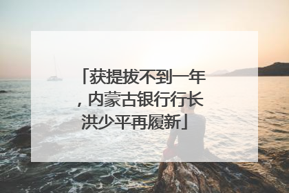 获提拔不到一年，内蒙古银行行长洪少平再履新