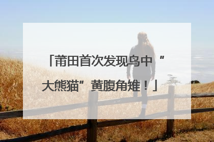 莆田首次发现鸟中“大熊猫”黄腹角雉！