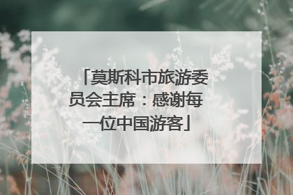 莫斯科市旅游委员会主席：感谢每一位中国游客