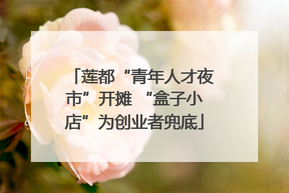 莲都“青年人才夜市”开摊 “盒子小店”为创业者兜底