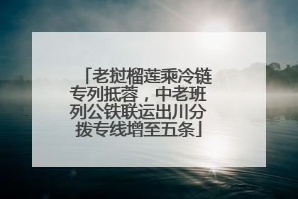 老挝榴莲乘冷链专列抵蓉，中老班列公铁联运出川分拨专线增至五条