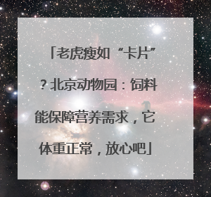 老虎瘦如“卡片”？北京动物园：饲料能保障营养需求，它体重正常，放心吧